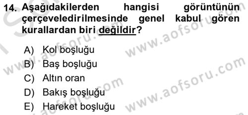 Görsel Estetik Dersi 2025 - 2026 Yılı (Final) Dönem Sonu Sınav Soruları 14. Soru