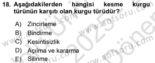 Görsel Estetik Dersi 2025 - 2026 Yılı (Final) Dönem Sonu Sınav Soruları 18. Soru