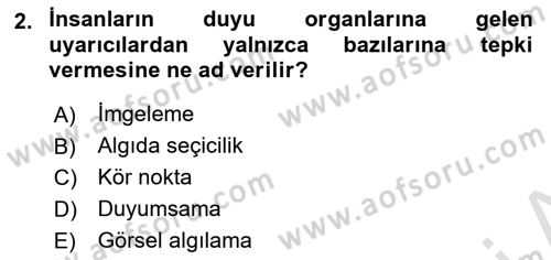 Görsel Estetik Dersi 2025 - 2026 Yılı (Final) Dönem Sonu Sınav Soruları 2. Soru