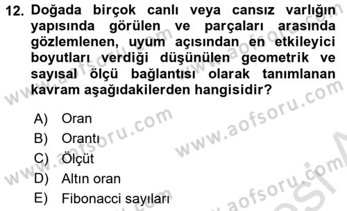Görsel Estetik Dersi 2025 - 2026 Yılı Yaz Okulu Sınav Soruları 12. Soru