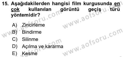 Görsel Estetik Dersi 2025 - 2026 Yılı Yaz Okulu Sınav Soruları 15. Soru