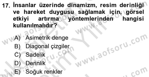 Görsel Estetik Dersi 2025 - 2026 Yılı Yaz Okulu Sınav Soruları 17. Soru