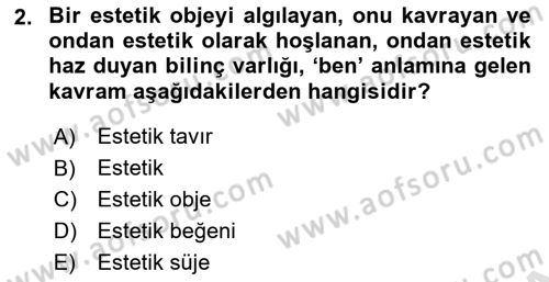 Görsel Estetik Dersi 2025 - 2026 Yılı Yaz Okulu Sınav Soruları 2. Soru