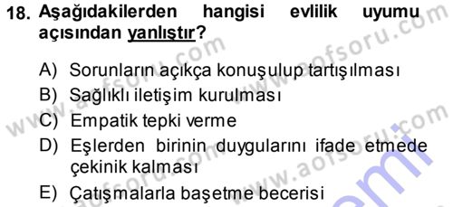 Aile Yapısı ve İlişkileri Dersi 2013 - 2014 Yılı (Vize) Ara Sınav Soruları 18. Soru