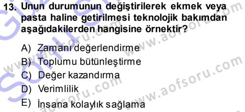Aile Yapısı ve İlişkileri Dersi 2013 - 2014 Yılı (Final) Dönem Sonu Sınav Soruları 13. Soru