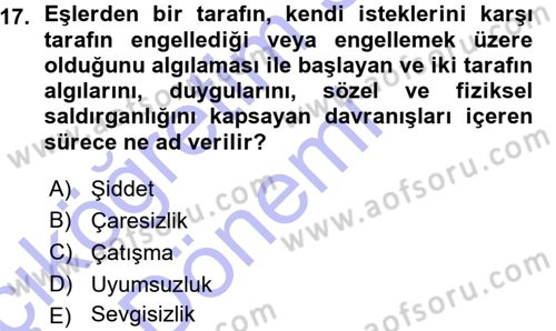 Aile Yapısı ve İlişkileri Dersi 2015 - 2016 Yılı (Vize) Ara Sınav Soruları 17. Soru