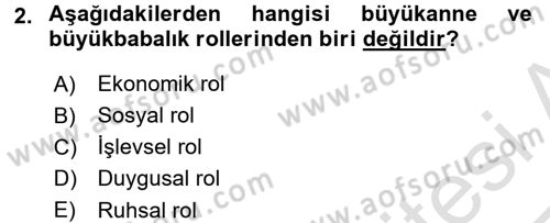 Aile Yapısı ve İlişkileri Dersi 2016 - 2017 Yılı (Vize) Ara Sınav Soruları 2. Soru