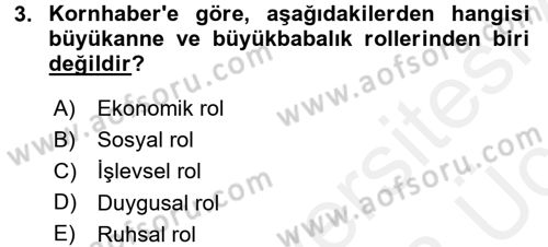 Aile Yapısı ve İlişkileri Dersi 2017 - 2018 Yılı 3 Ders Sınav Soruları 3. Soru