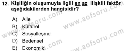 Aile Yapısı ve İlişkileri Dersi 2017 - 2018 Yılı (Vize) Ara Sınav Soruları 12. Soru