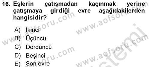 Aile Yapısı ve İlişkileri Dersi 2017 - 2018 Yılı (Vize) Ara Sınav Soruları 16. Soru