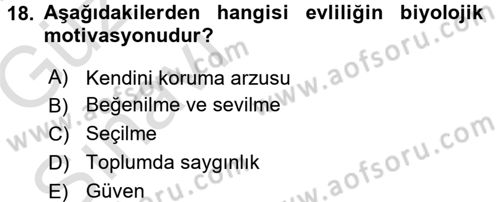 Aile Yapısı ve İlişkileri Dersi 2017 - 2018 Yılı (Vize) Ara Sınav Soruları 18. Soru