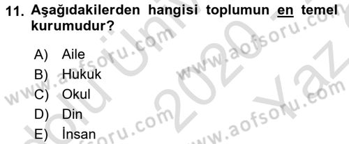 Aile Yapısı ve İlişkileri Dersi 2020 - 2021 Yılı Yaz Okulu Sınav Soruları 11. Soru