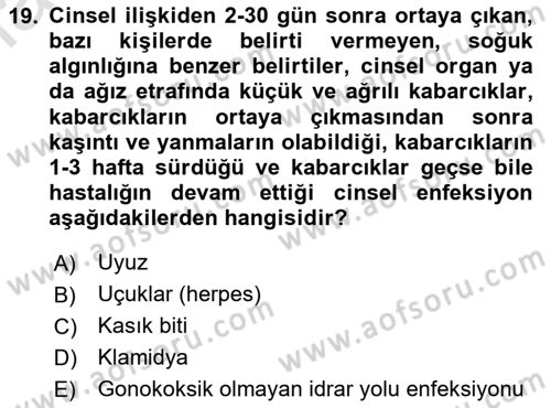 Aile Yapısı ve İlişkileri Dersi 2020 - 2021 Yılı Yaz Okulu Sınav Soruları 19. Soru