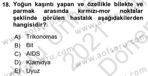 Aile Yapısı ve İlişkileri Dersi 2021 - 2022 Yılı (Final) Dönem Sonu Sınav Soruları 18. Soru