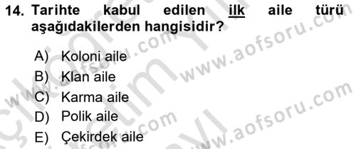 Aile Yapısı ve İlişkileri Dersi 2021 - 2022 Yılı Yaz Okulu Sınav Soruları 14. Soru
