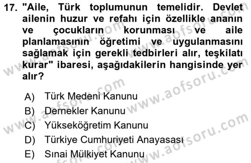 Aile Yapısı ve İlişkileri Dersi 2021 - 2022 Yılı Yaz Okulu Sınav Soruları 17. Soru