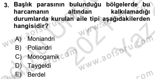 Aile Yapısı ve İlişkileri Dersi 2021 - 2022 Yılı Yaz Okulu Sınav Soruları 3. Soru