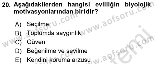 Aile Yapısı ve İlişkileri Dersi 2022 - 2023 Yılı (Vize) Ara Sınav Soruları 20. Soru