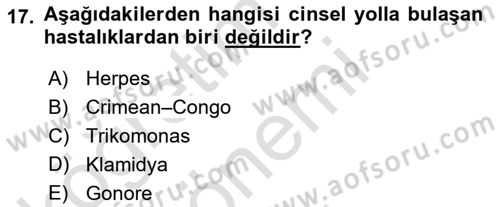Aile Yapısı ve İlişkileri Dersi 2022 - 2023 Yılı (Final) Dönem Sonu Sınav Soruları 17. Soru