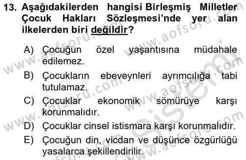 Aile Yapısı ve İlişkileri Dersi 2022 - 2023 Yılı Yaz Okulu Sınav Soruları 13. Soru