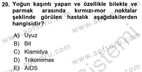 Aile Yapısı ve İlişkileri Dersi 2022 - 2023 Yılı Yaz Okulu Sınav Soruları 20. Soru