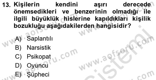 Aile Yapısı ve İlişkileri Dersi 2023 - 2024 Yılı (Vize) Ara Sınav Soruları 13. Soru