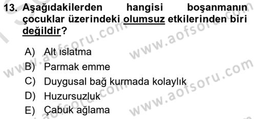 Aile Yapısı ve İlişkileri Dersi 2023 - 2024 Yılı (Final) Dönem Sonu Sınav Soruları 13. Soru