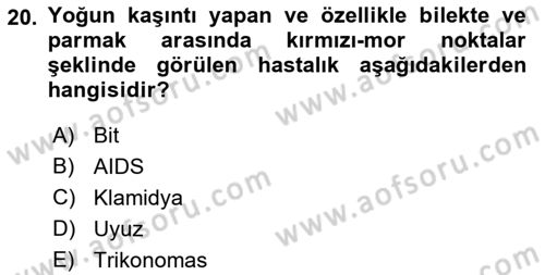 Aile Yapısı ve İlişkileri Dersi 2023 - 2024 Yılı (Final) Dönem Sonu Sınav Soruları 20. Soru