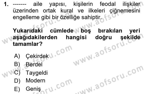 Aile Yapısı ve İlişkileri Dersi 2023 - 2024 Yılı Yaz Okulu Sınav Soruları 1. Soru