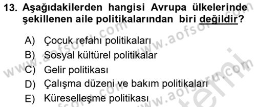Aile Yapısı ve İlişkileri Dersi 2023 - 2024 Yılı Yaz Okulu Sınav Soruları 13. Soru