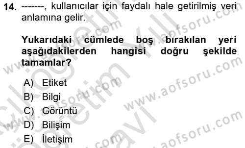 Aile Yapısı ve İlişkileri Dersi 2023 - 2024 Yılı Yaz Okulu Sınav Soruları 14. Soru