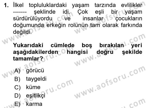 Aile Yapısı ve İlişkileri Dersi 2024 - 2025 Yılı (Vize) Ara Sınav Soruları 1. Soru