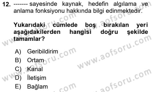 Aile Yapısı ve İlişkileri Dersi 2024 - 2025 Yılı (Vize) Ara Sınav Soruları 12. Soru