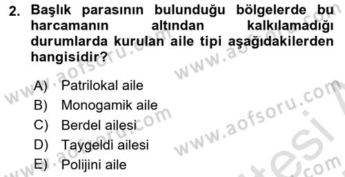 Aile Yapısı ve İlişkileri Dersi 2024 - 2025 Yılı (Vize) Ara Sınav Soruları 2. Soru