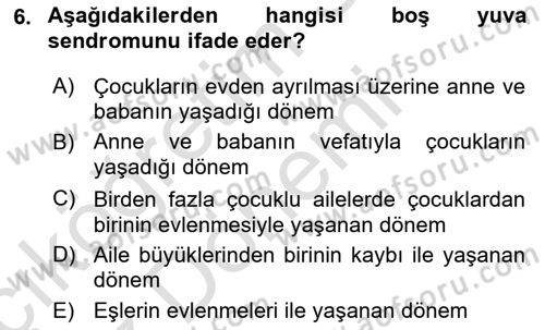 Aile Yapısı ve İlişkileri Dersi 2024 - 2025 Yılı (Vize) Ara Sınav Soruları 6. Soru
