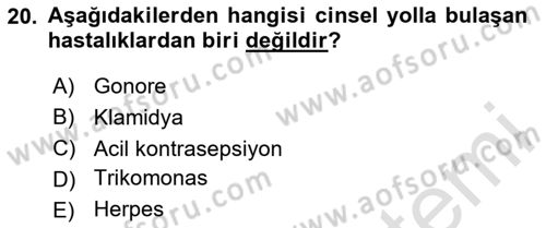 Aile Yapısı ve İlişkileri Dersi 2024 - 2025 Yılı (Final) Dönem Sonu Sınav Soruları 20. Soru