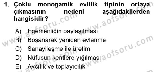 Aile Yapısı ve İlişkileri Dersi 2024 - 2025 Yılı Yaz Okulu Sınav Soruları 1. Soru