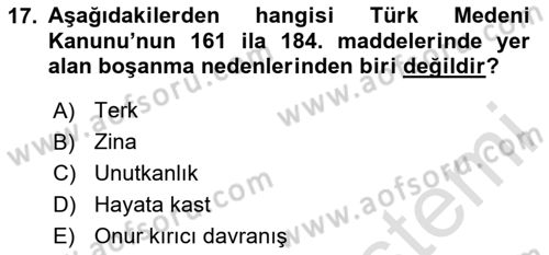Aile Yapısı ve İlişkileri Dersi 2024 - 2025 Yılı Yaz Okulu Sınav Soruları 17. Soru