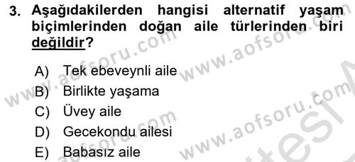 Aile Yapısı ve İlişkileri Dersi 2024 - 2025 Yılı Yaz Okulu Sınav Soruları 3. Soru