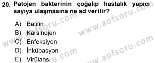 Genel Beslenme Dersi 2015 - 2016 Yılı (Final) Dönem Sonu Sınav Soruları 20. Soru