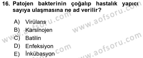 Genel Beslenme Dersi 2016 - 2017 Yılı 3 Ders Sınav Soruları 16. Soru