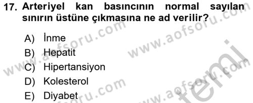 Genel Beslenme Dersi 2016 - 2017 Yılı 3 Ders Sınav Soruları 17. Soru