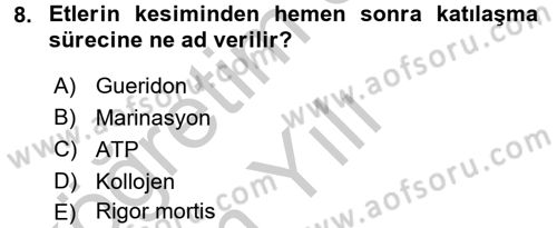 Genel Beslenme Dersi 2016 - 2017 Yılı 3 Ders Sınav Soruları 8. Soru