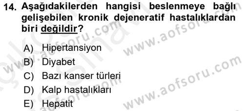 Genel Beslenme Dersi 2017 - 2018 Yılı 3 Ders Sınav Soruları 14. Soru