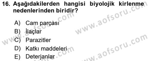 Genel Beslenme Dersi 2017 - 2018 Yılı 3 Ders Sınav Soruları 16. Soru