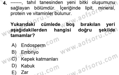 Genel Beslenme Dersi 2017 - 2018 Yılı (Vize) Ara Sınav Soruları 4. Soru