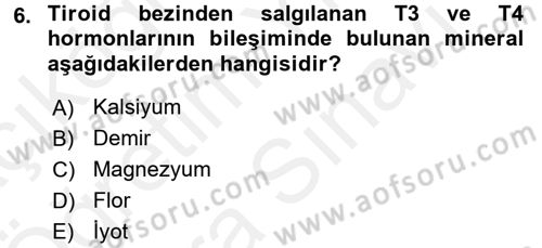 Genel Beslenme Dersi 2017 - 2018 Yılı (Vize) Ara Sınav Soruları 6. Soru