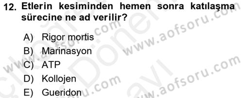 Genel Beslenme Dersi 2017 - 2018 Yılı (Final) Dönem Sonu Sınav Soruları 12. Soru