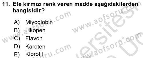 Genel Beslenme Dersi 2018 - 2019 Yılı 3 Ders Sınav Soruları 11. Soru
