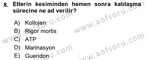 Genel Beslenme Dersi 2018 - 2019 Yılı 3 Ders Sınav Soruları 8. Soru